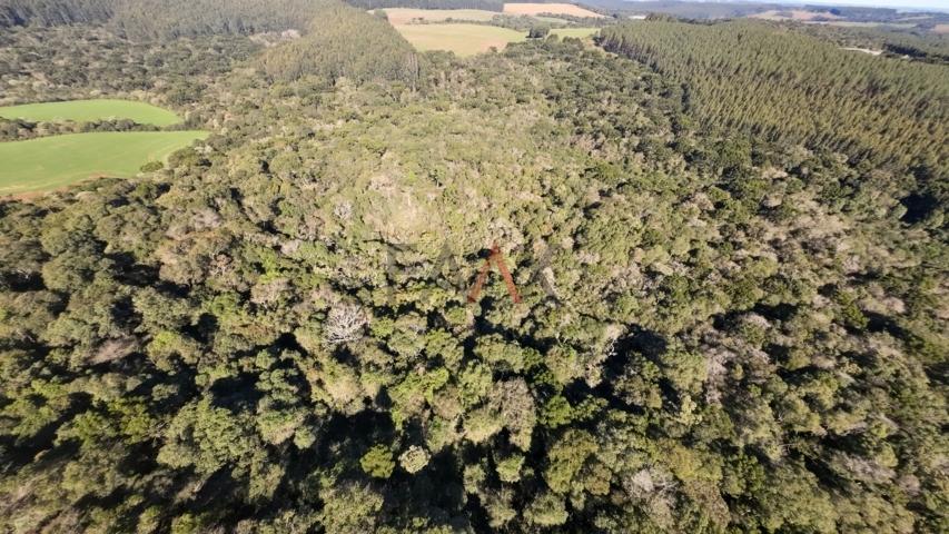 Fazenda à venda, 242000m² - Foto 52