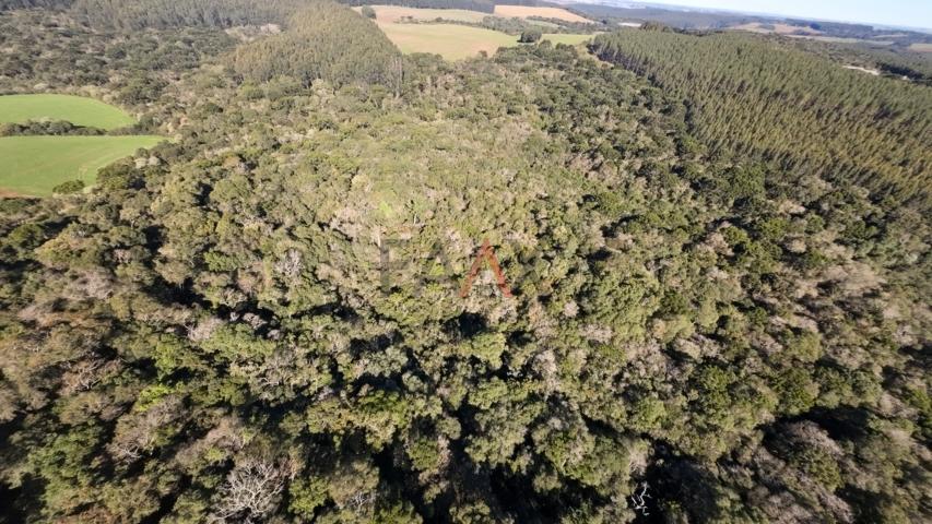 Fazenda à venda, 242000m² - Foto 54