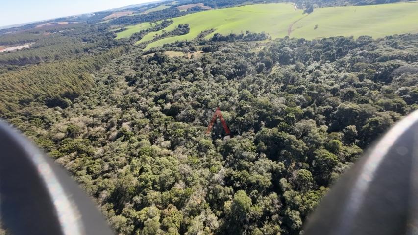 Fazenda à venda, 242000m² - Foto 57