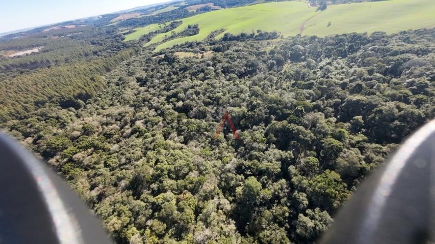 Fazenda à venda, 242000m² - Foto 58