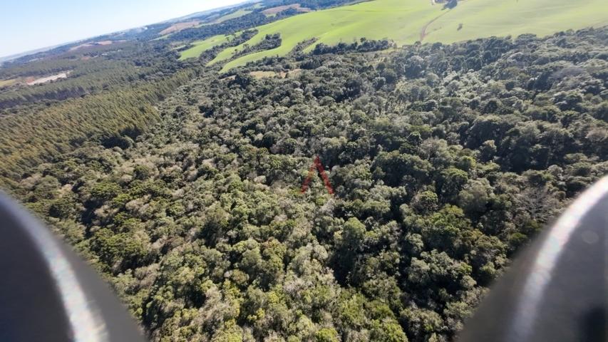 Fazenda à venda, 242000m² - Foto 59