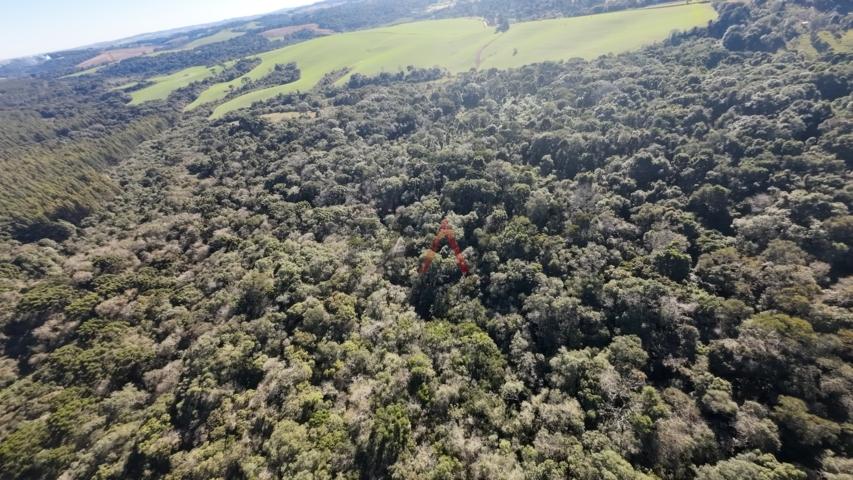 Fazenda à venda, 242000m² - Foto 60