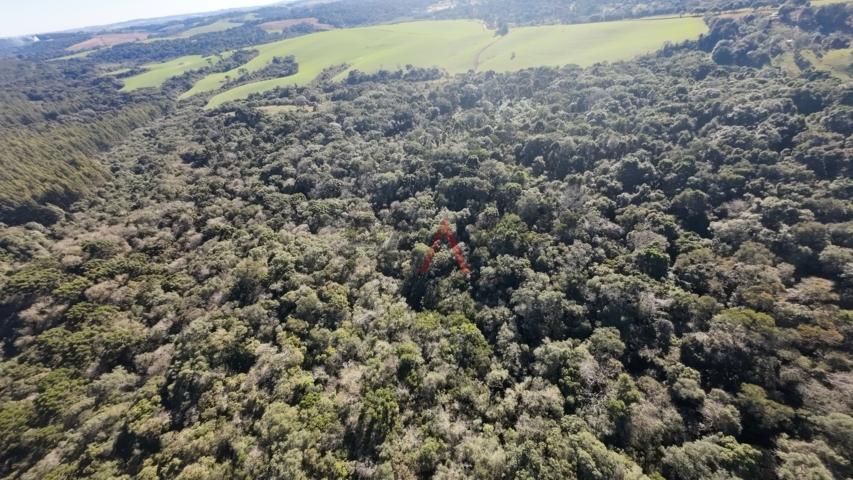 Fazenda à venda, 242000m² - Foto 61