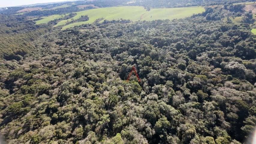 Fazenda à venda, 242000m² - Foto 63