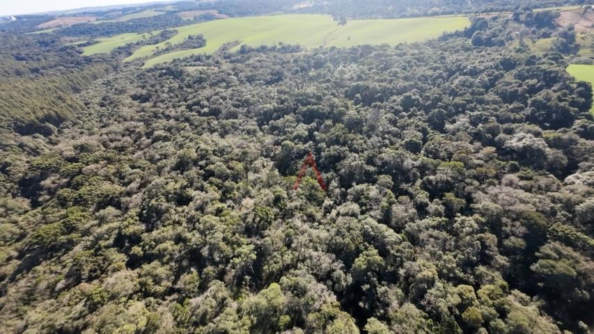 Fazenda à venda, 242000m² - Foto 64