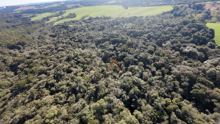 Fazenda à venda, 242000m² - Foto 65