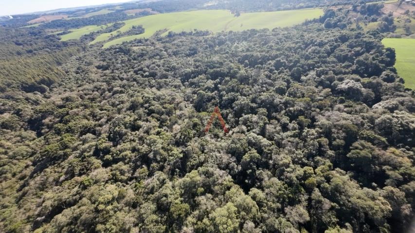 Fazenda à venda, 242000m² - Foto 67