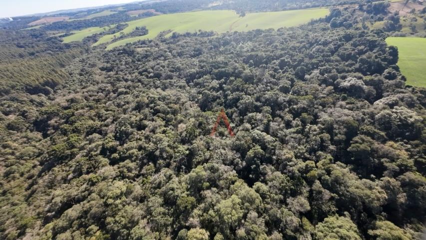 Fazenda à venda, 242000m² - Foto 68