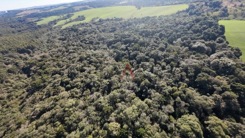 Fazenda à venda, 242000m² - Foto 69