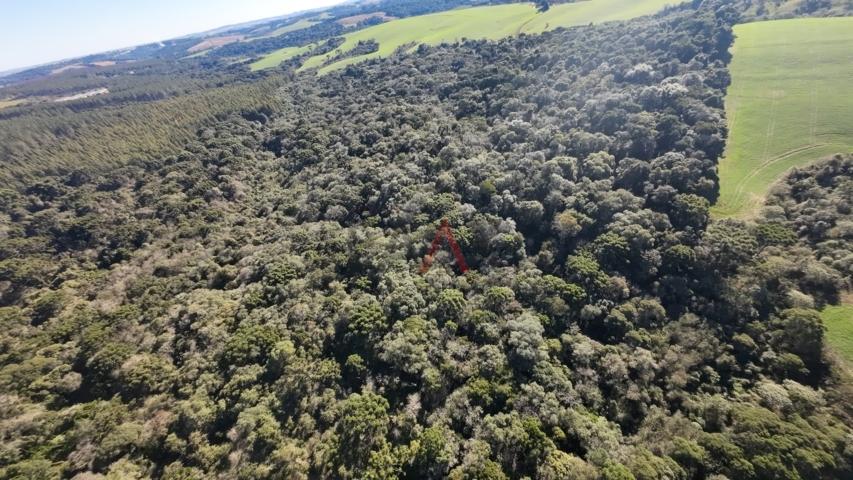 Fazenda à venda, 242000m² - Foto 81