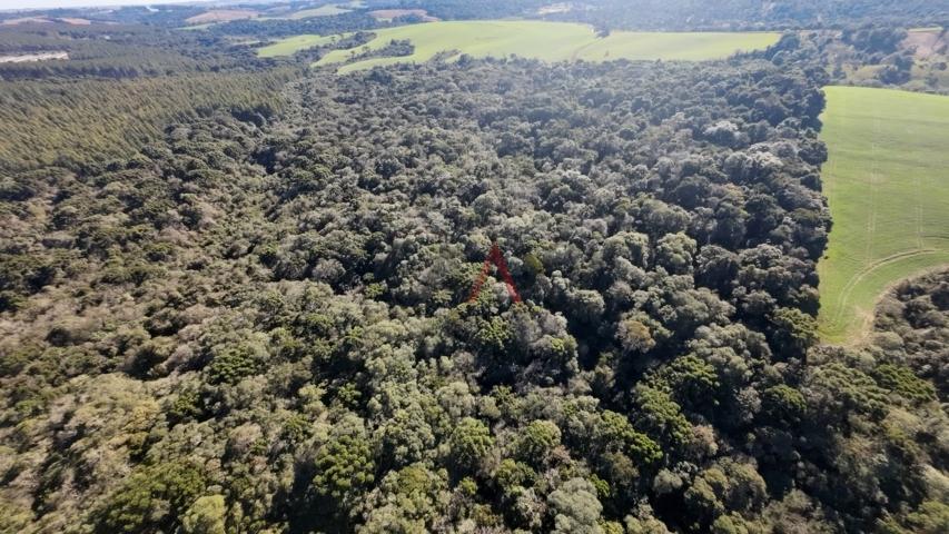 Fazenda à venda, 242000m² - Foto 84