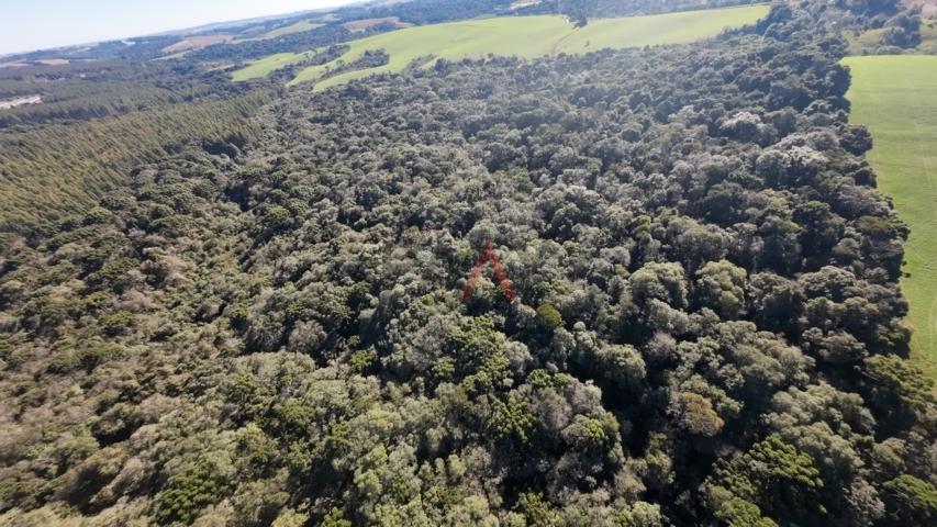 Fazenda à venda, 242000m² - Foto 85