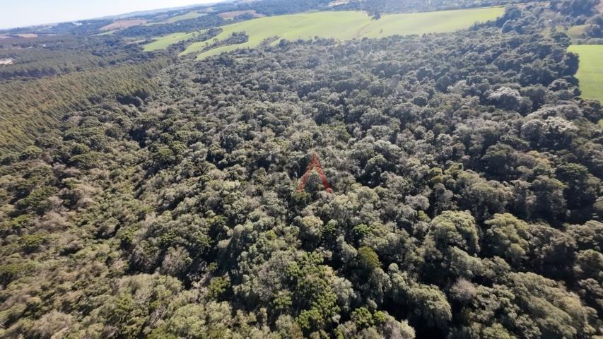 Fazenda à venda, 242000m² - Foto 86