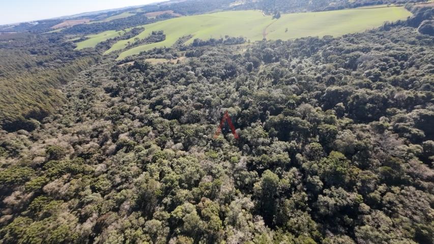 Fazenda à venda, 242000m² - Foto 88