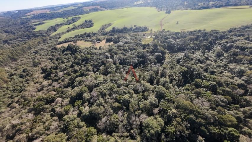 Fazenda à venda, 242000m² - Foto 90