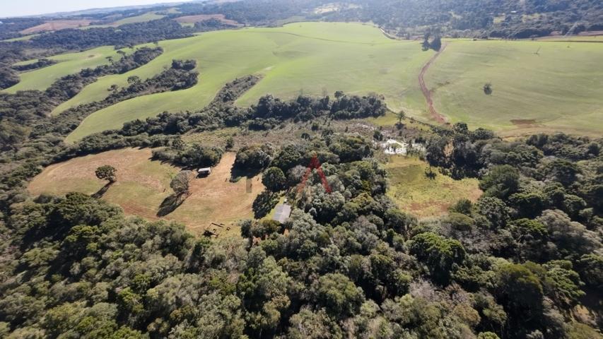 Fazenda à venda, 242000m² - Foto 93