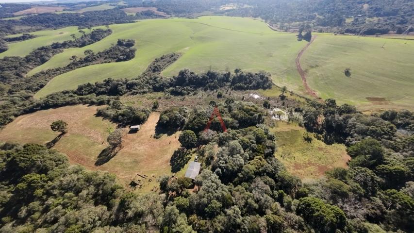 Fazenda à venda, 242000m² - Foto 94