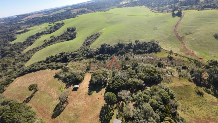 Fazenda à venda, 242000m² - Foto 95