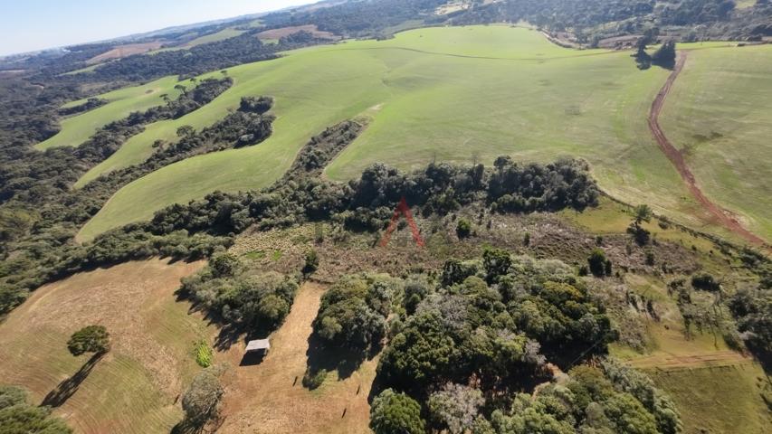 Fazenda à venda, 242000m² - Foto 98