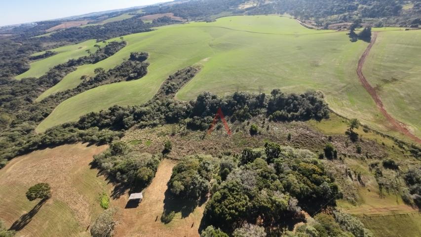 Fazenda à venda, 242000m² - Foto 99