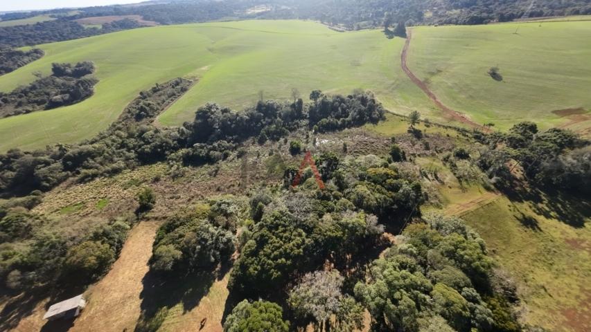 Fazenda à venda, 242000m² - Foto 100