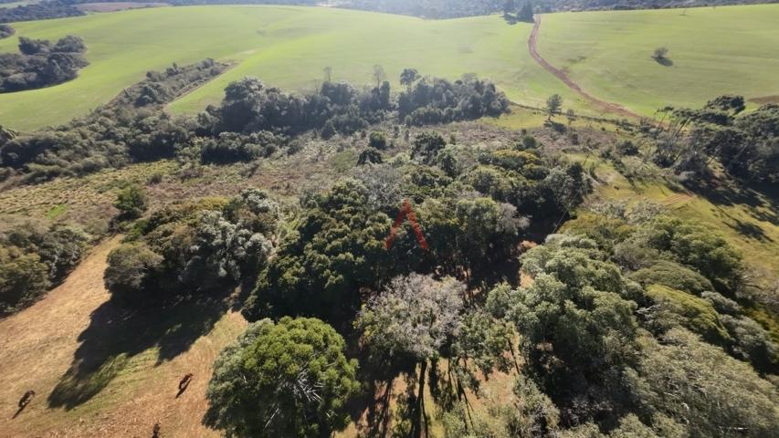 Fazenda à venda, 242000m² - Foto 101