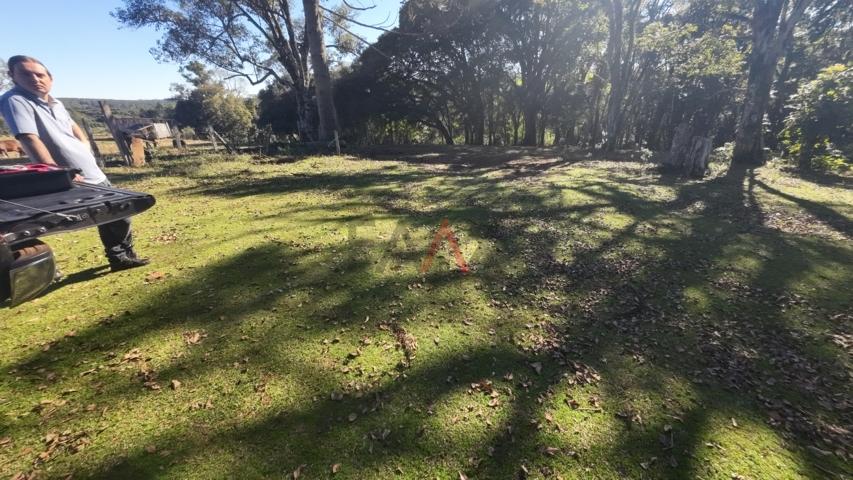 Fazenda à venda, 242000m² - Foto 136