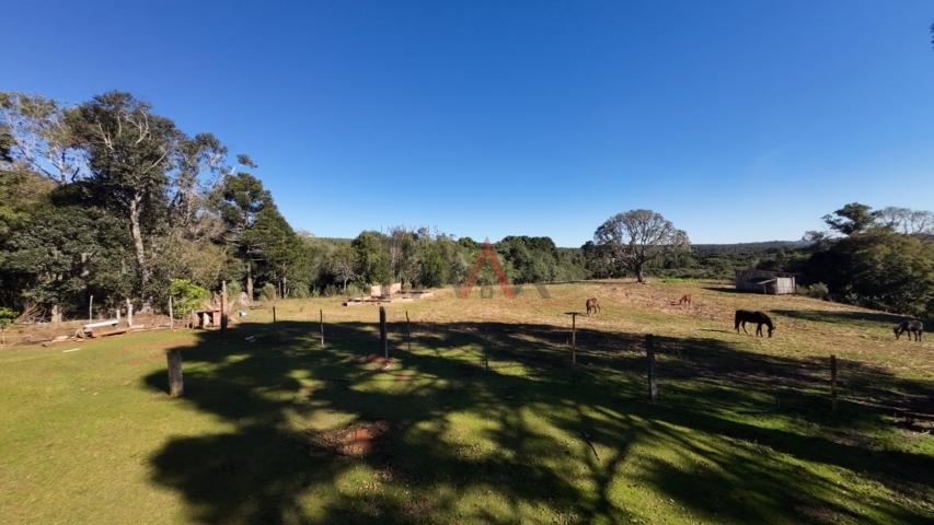 Fazenda à venda, 242000m² - Foto 137