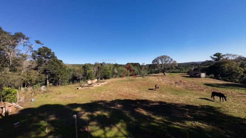 Fazenda à venda, 242000m² - Foto 138