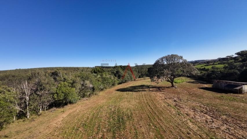 Fazenda à venda, 242000m² - Foto 141