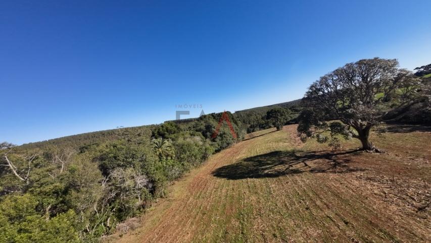 Fazenda à venda, 242000m² - Foto 143