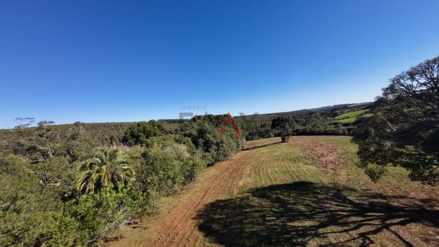 Fazenda à venda, 242000m² - Foto 144