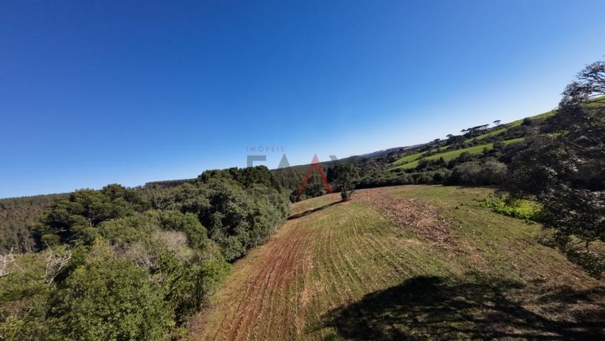 Fazenda à venda, 242000m² - Foto 145