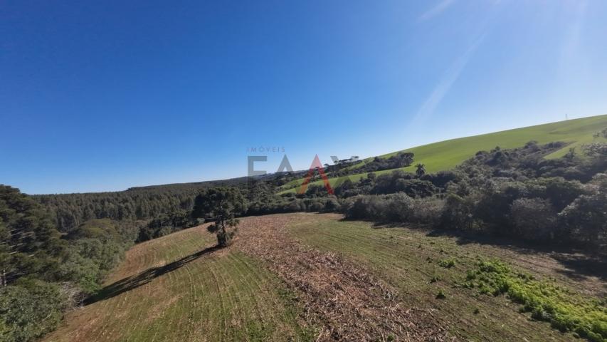 Fazenda à venda, 242000m² - Foto 148