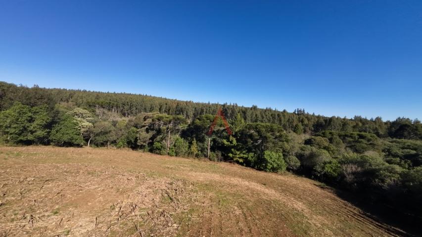 Fazenda à venda, 242000m² - Foto 161