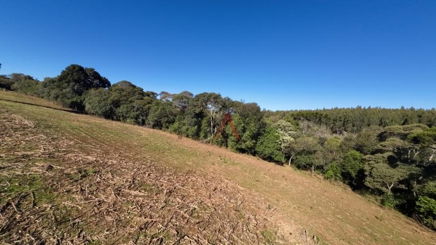 Fazenda à venda, 242000m² - Foto 163