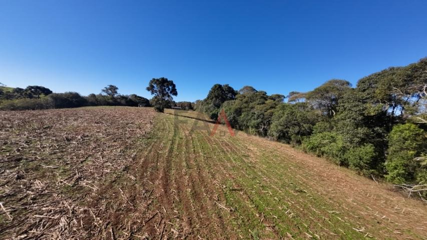 Fazenda à venda, 242000m² - Foto 164