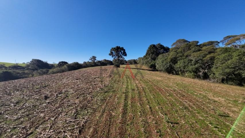 Fazenda à venda, 242000m² - Foto 165