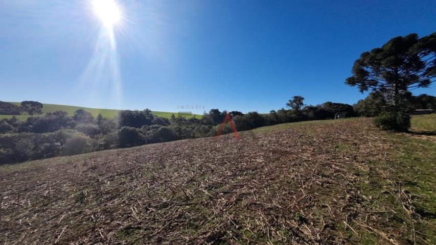 Fazenda à venda, 242000m² - Foto 166