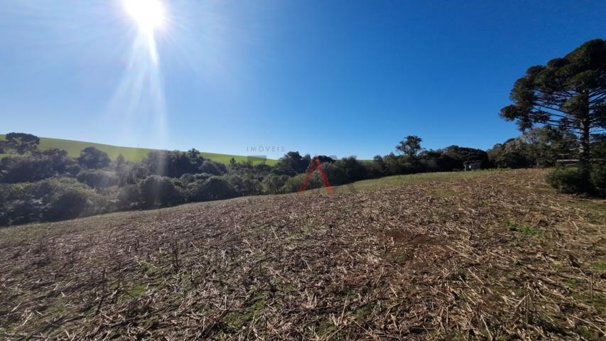 Fazenda à venda, 242000m² - Foto 167