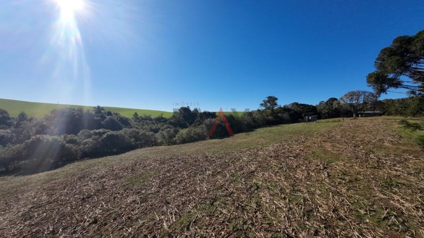 Fazenda à venda, 242000m² - Foto 168