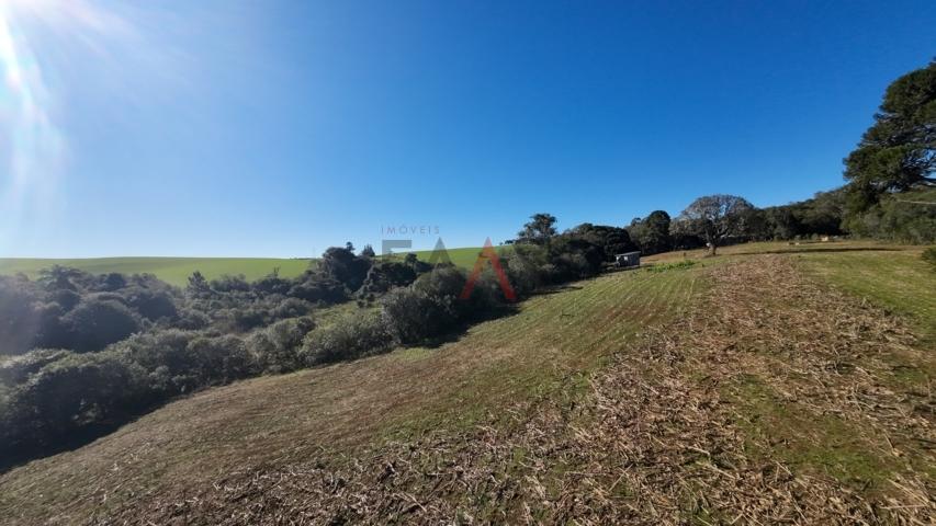 Fazenda à venda, 242000m² - Foto 169