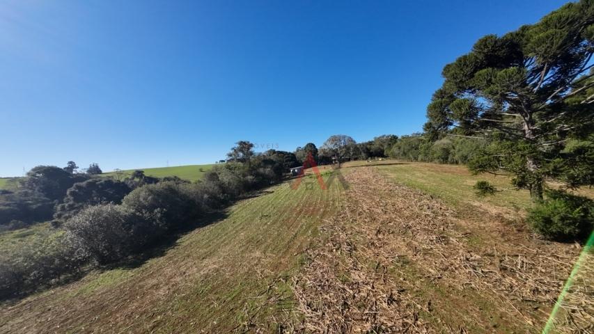 Fazenda à venda, 242000m² - Foto 170