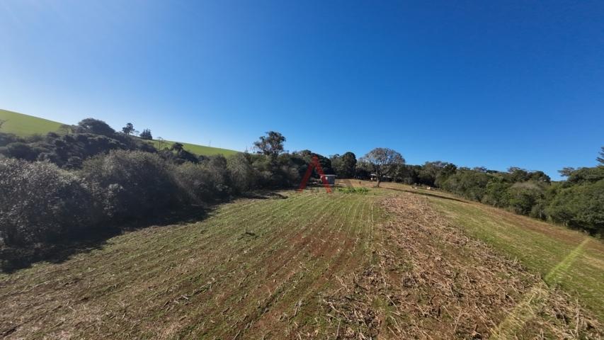 Fazenda à venda, 242000m² - Foto 171