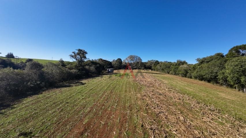 Fazenda à venda, 242000m² - Foto 172