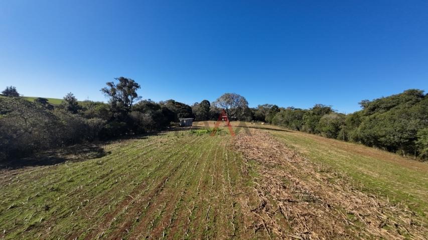 Fazenda à venda, 242000m² - Foto 173