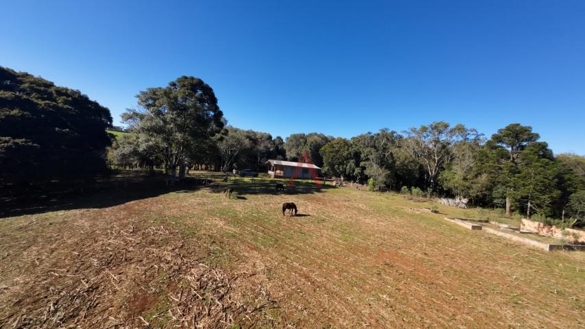 Fazenda à venda, 242000m² - Foto 174