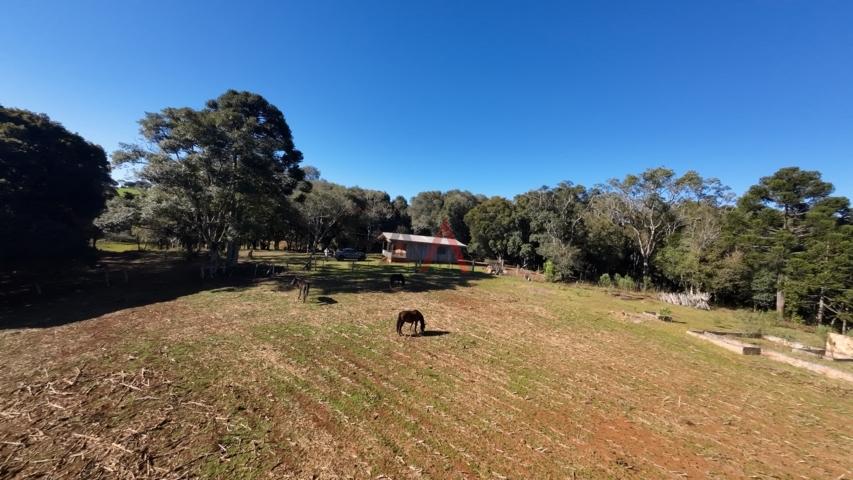 Fazenda à venda, 242000m² - Foto 175