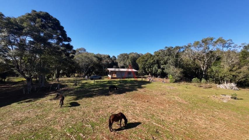 Fazenda à venda, 242000m² - Foto 176