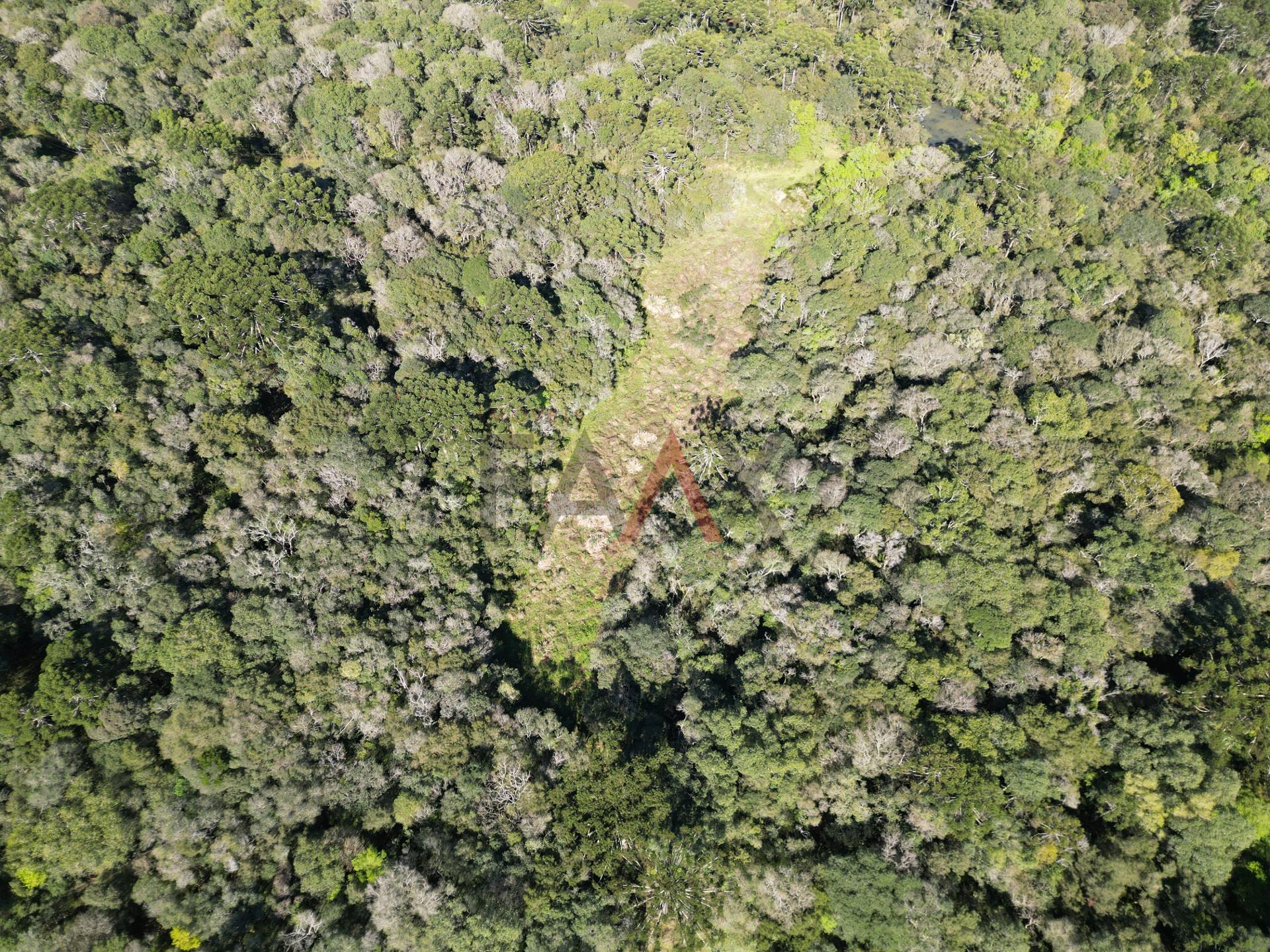 Área rural à venda proximo ao hopy valley com rio em Guarapuava - PR